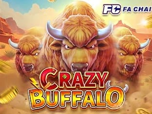 Crazy Buffalo banner